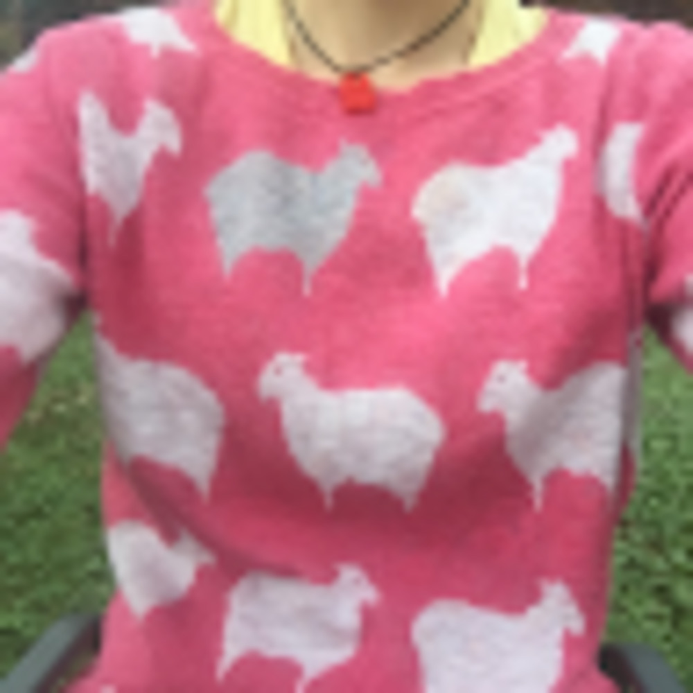 Meet your Posher, Anne